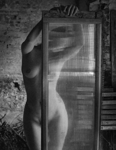 Portrait artistique, figure féminine partiellement dissimulée derrière une porte-fenêtre.