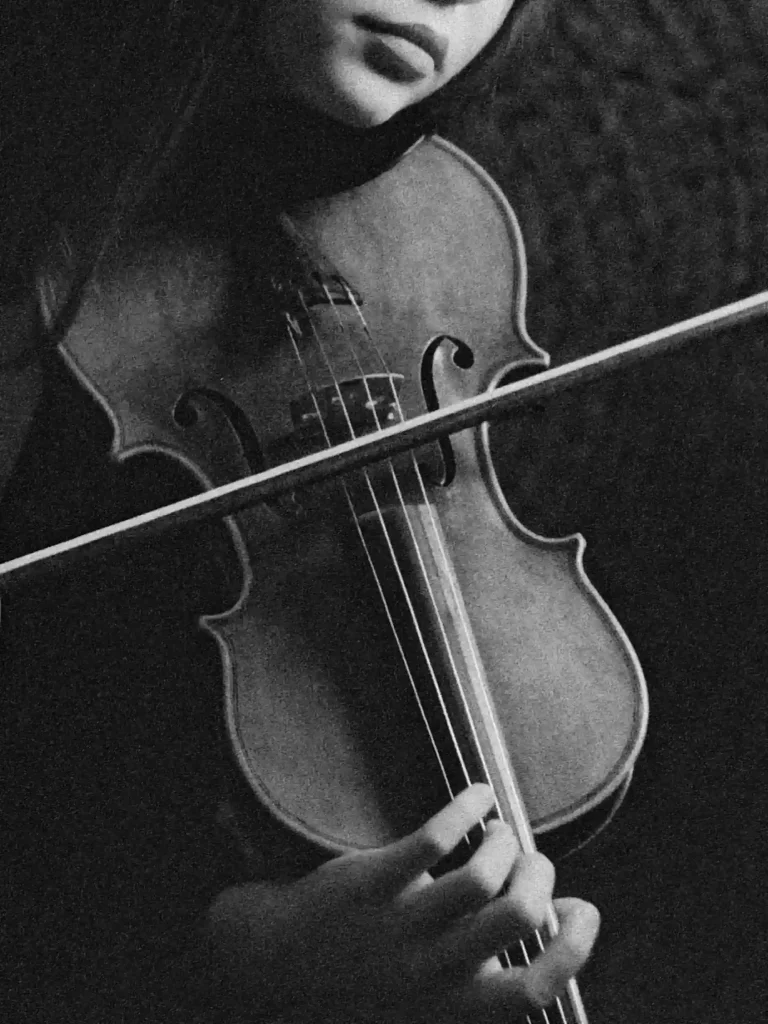 Portrait éditorial, gros plan sur le violon tenu par une musicienne.